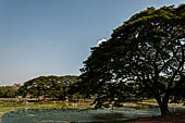 Thailand - Old Sukhothai - Wat Sorasak. The chedi is in a beautiful  area with lots of trees and a large reservoir.